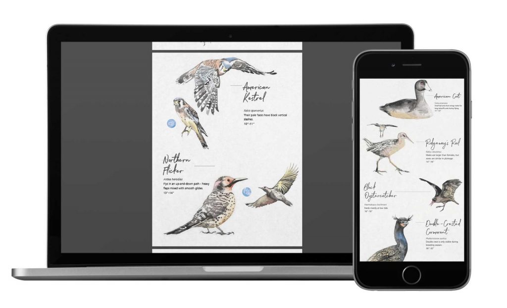 bird_guide_mock_up_post