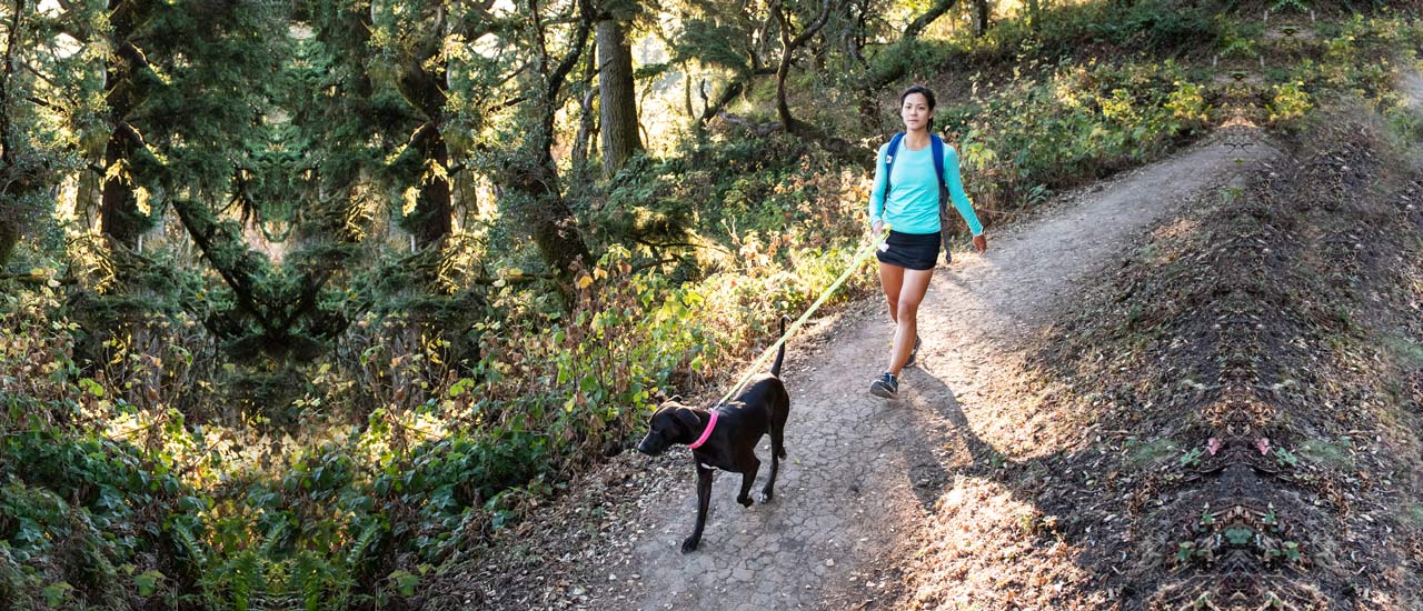 dog-friendly-hikes-post-1-post